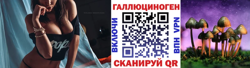Галлюциногенные грибы Psilocybine cubensis мориарти наркотические препараты Биробиджан
