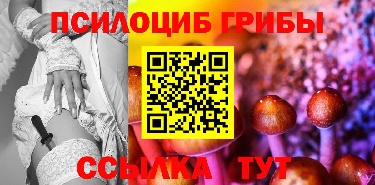 Биробиджан  Галлюциногенные грибы MAGIC MUSHROOMS  Вход с VPN 